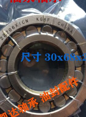 油泵轴承 BS2B321642B （22206X1CN）调心滚子轴承 尺寸30x68x20