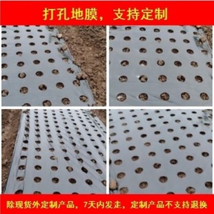 打孔地膜农用种植防草菜地玉米地开孔带孔薄膜黑T膜银黑地膜免打