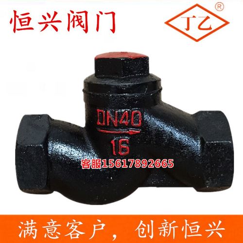 H11T-16升降式卧式止回阀 铸铁内牙z丝扣单向阀DN25 40 50 6分 1