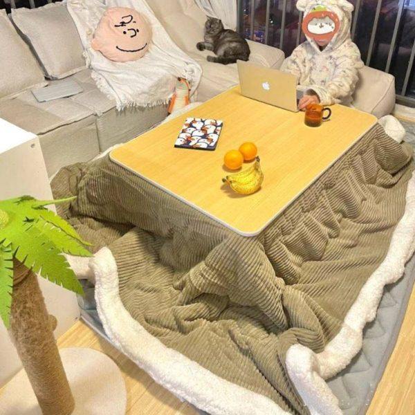 烤火被子长方形烤火罩踏脚炉电烤火箱被子沙发加厚双面绒盖被毯子,居家布艺,烤火罩,淘宝优惠券,粉丝福利购,淘宝优惠卷