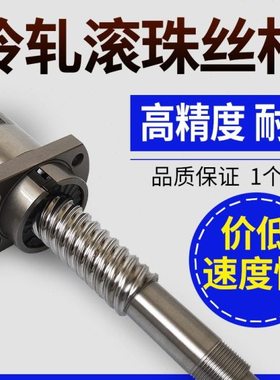 多线滚珠丝杆SFE1616 1632 2040 2550 3264 2020 2525 50100 4080