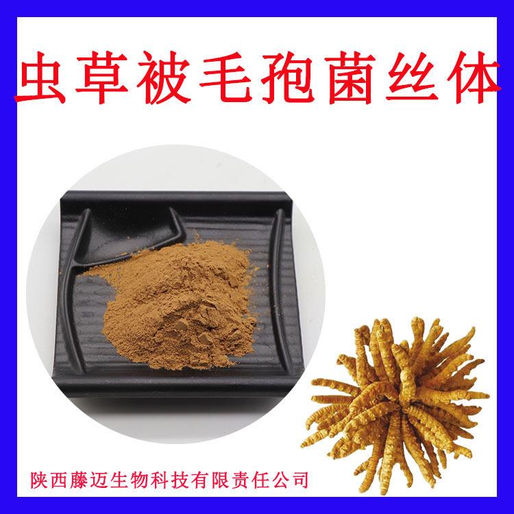 虫草被毛孢菌丝体粉现货虫草提取腺苷0.4%多糖5%中华被毛孢菌丝