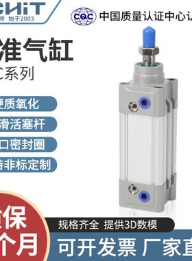 DNC标准气缸SE32/40/50/63/80/100-50*75X100/125/175/200PPV-A-S