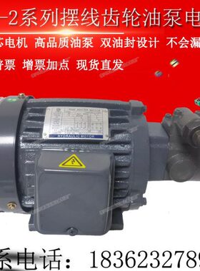 RBB-210Y/212/208/206Y摆线油泵电机RBB-216/220Y冷镦机油泵1/2HP