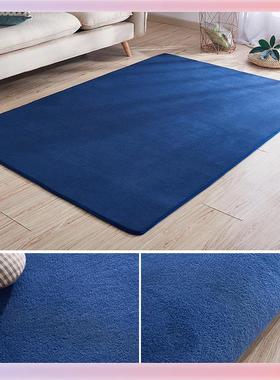 3YK蓝色珊瑚绒地毯卧室客厅免洗茶几毯早教儿童爬行地垫床边