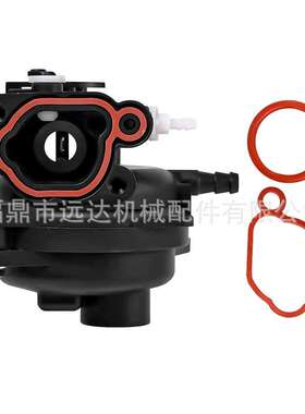 园林化油器Briggs&Stratton 799583 593261 595656 591979 590556