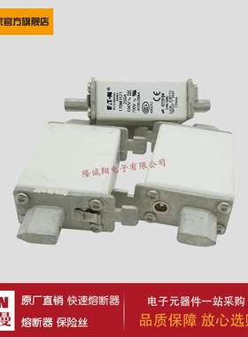 熔断器170M0223 170M0224 170M0225 170M0226 170M0259 170M0260