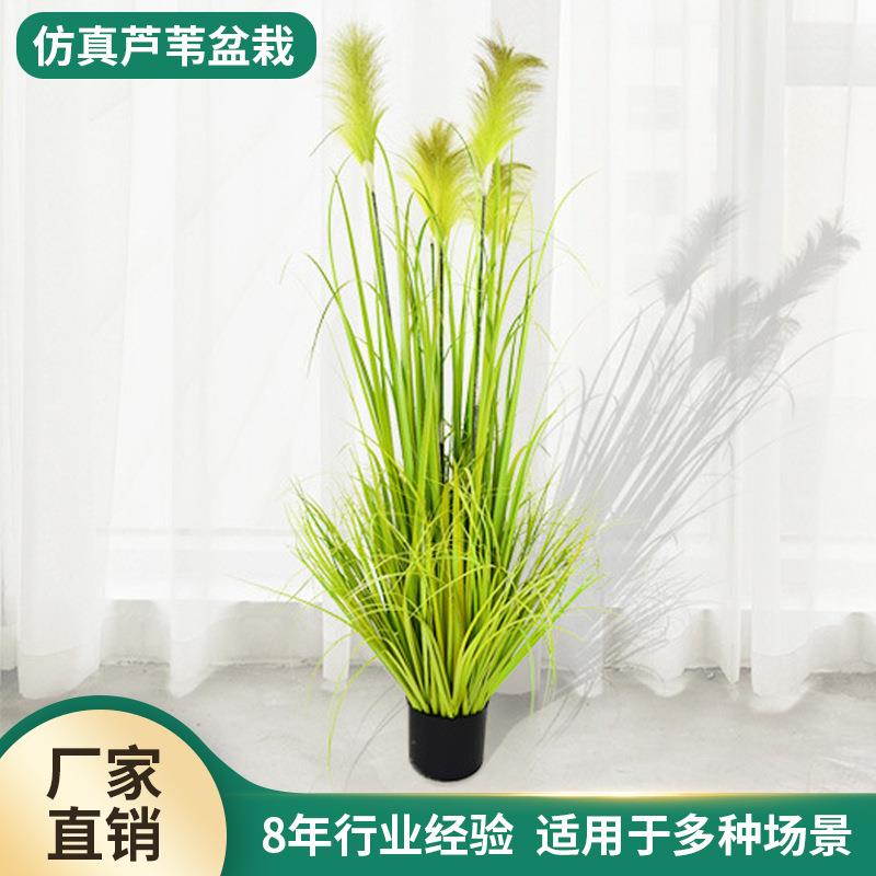 仿真植物芦苇场景布置植物仿真花家居摆件婚庆布景粉色芦苇假花