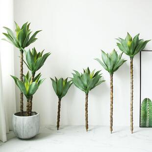 仿真聚宝莲热带沙漠植物盆栽高杆大型落地多肉绿植造布景装饰摆件