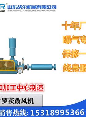 山东三叶罗茨鼓风机机械DN503KW电机低噪音罗茨风机曝气风机