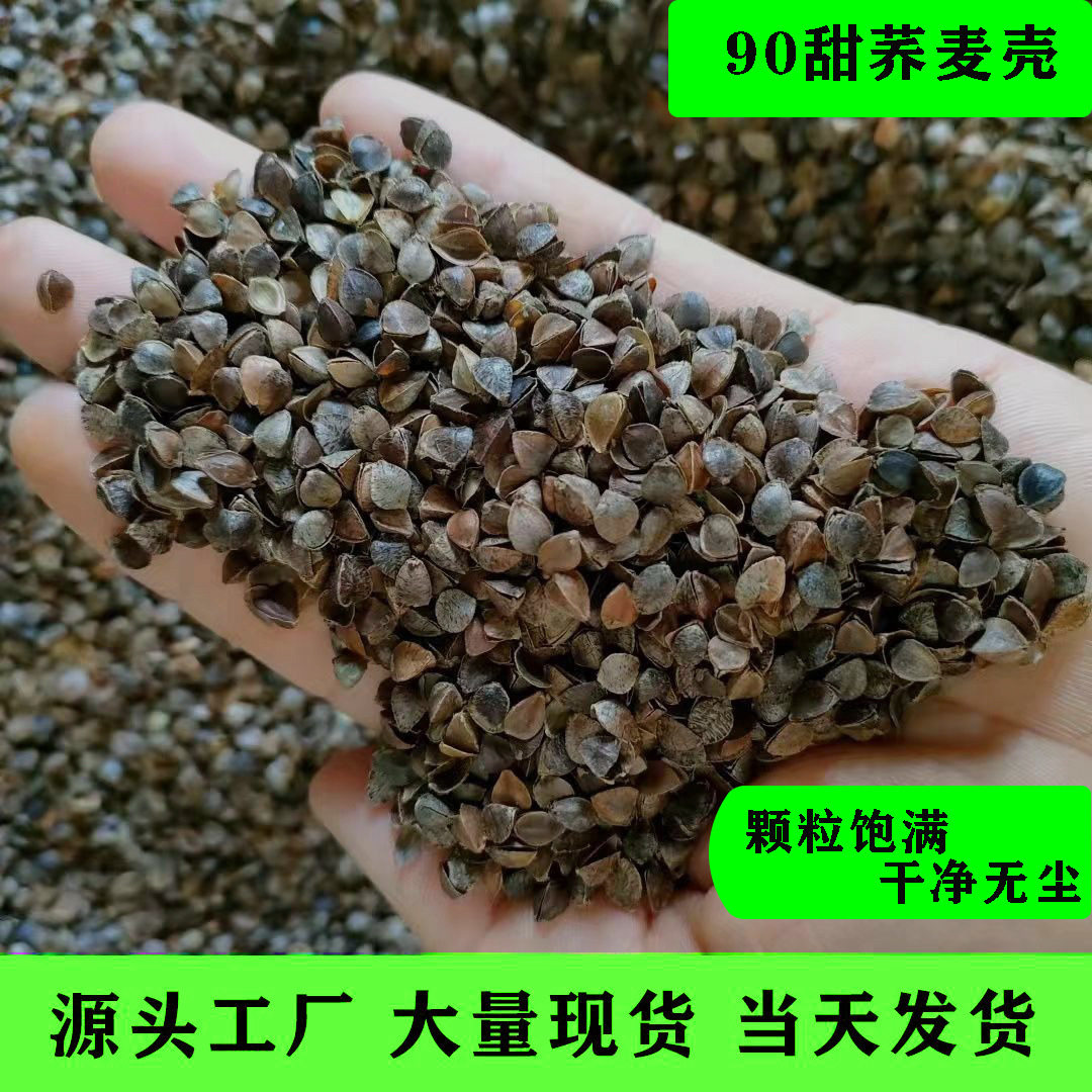 厂家现货三义农90甜荞麦壳颗粒饱满干净除尘耐用可水洗枕头荞麦皮
