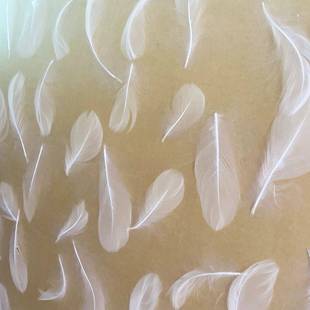 羽毛亚克力板酒店隔断屏风装 饰材料白色彩色鹅毛有机玻璃PMMA深圳