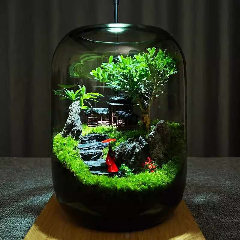 彩云间创意办公室桌面苔藓微景观盆景生态瓶盆栽桌面玻璃小鱼缸