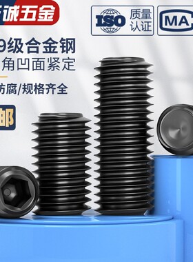 M2-M16凹端紧定螺丝12.9级内六角机米顶丝无头止付螺钉M3M4M5M6M8
