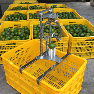 新会柑开皮机器 陈皮开皮机 开柑皮器 开柑皮机 手动陈皮开皮工具