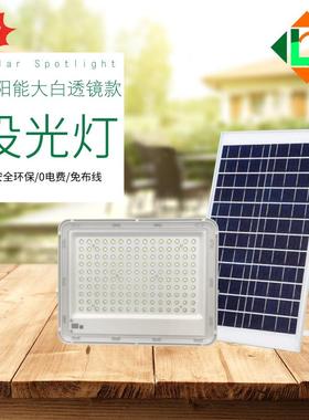 户外大白透镜款投光灯led大功率新农村家用庭院景观灯