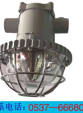 DGS36/127L(A)矿用隔爆型LED巷道灯 135---6271----8011