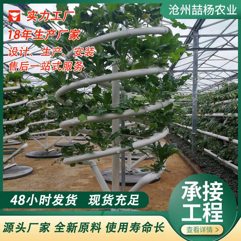 无土栽培蔬菜设备 水培种植架 双管螺旋种植 温室种植架 种植槽
