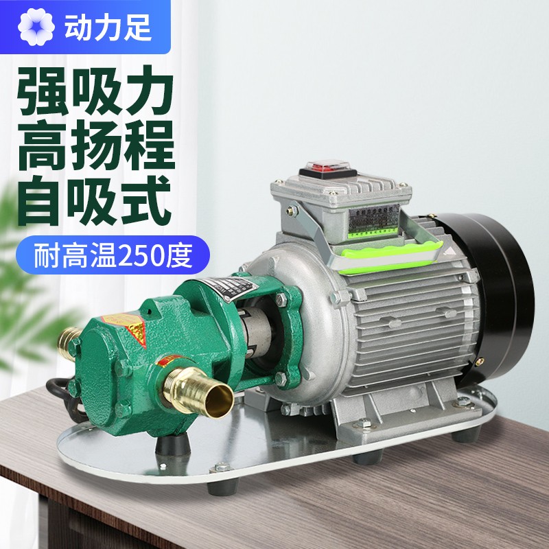 齿轮泵小型高粘度220V大流量自吸式柴油食用油不锈钢电动液压油泵