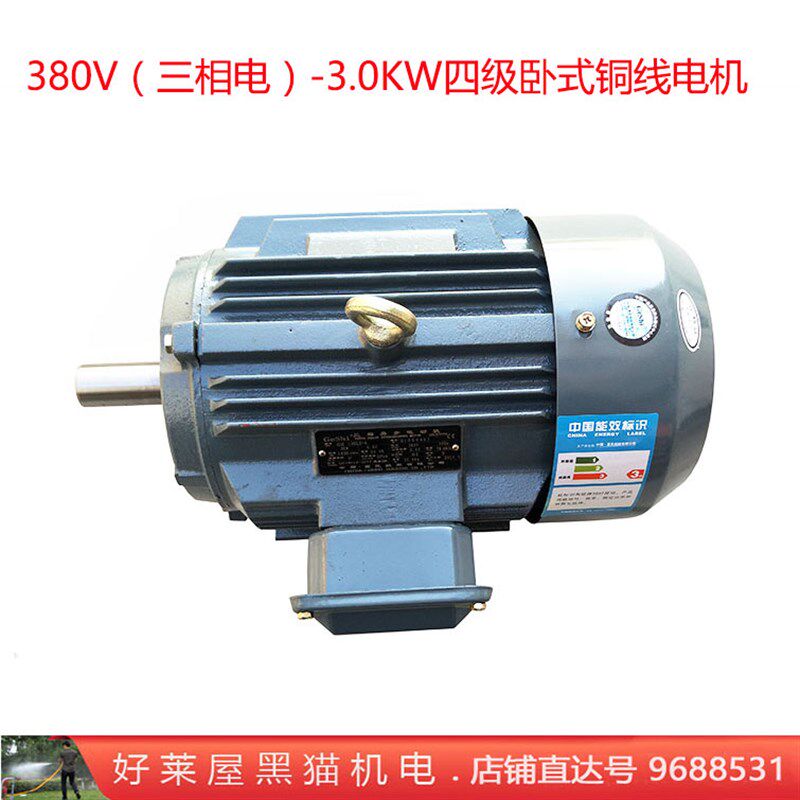 3.0千瓦 380V铜线电动机园林柱塞泵喷雾打药机驱动电机动力