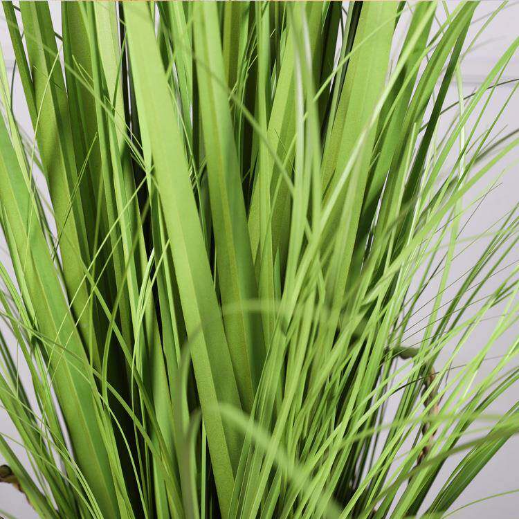 仿真芦苇仿真植草绿5头盆假栽绿植LD2015客厅卧室装饰草假家居狗