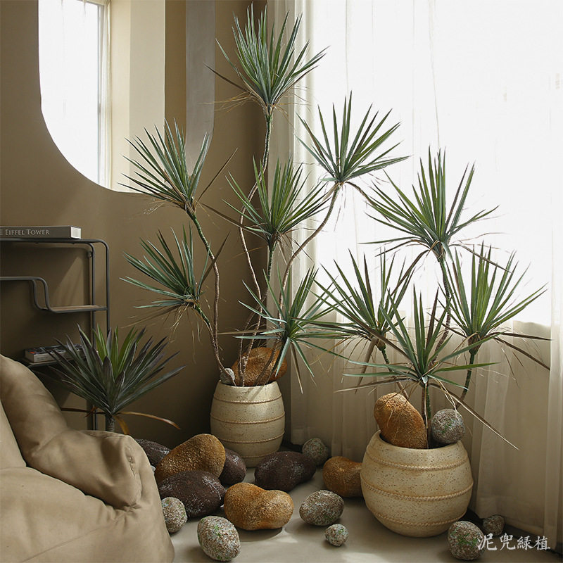 仿真绿植植物吉姆兰盆栽热带植物商场装饰摆件假树绿植造景观