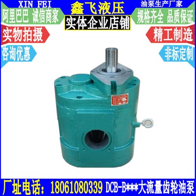 大流量齿轮油泵CB DCB-B600 XCB TXLB XTCB BM600菱形法兰安装