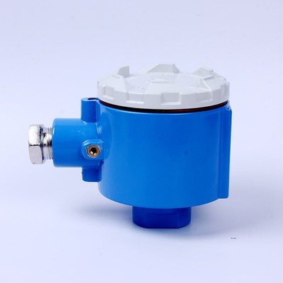 PT100温度传感器热电阻偶接线盒大防德中防爆不锈钢2088大日壳体