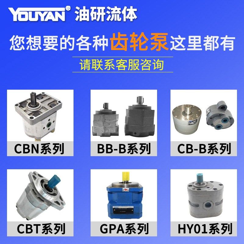 YB-E16 E6.3 E12叶片泵E10 E20 E25 E32 YBE 40 E50 E63 E80 E100