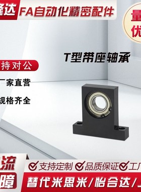 T型轴承座BGHKB/BGHK6000/6001/6002/6003/6004ZZ-20/30/40/50/60