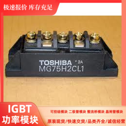 EVK71-050B EVK71-060 EVM31-050 MG75H2CL1 MG100H2CL1 现货