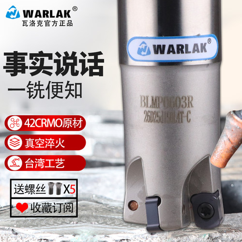 快进给双面铣刀杆BLMP0603R/TEBL06特固克 BLMP0603R刀片开粗铣面