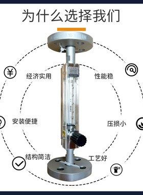 双环DN15法兰型玻璃转子流量计底进上出DK800-6F气体液体流量计