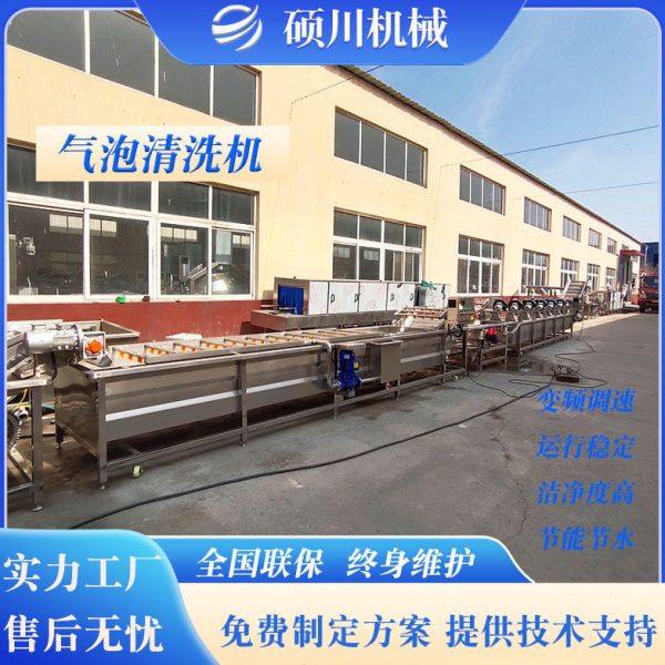 红薯梗贡菜气泡清洗机裙带菜海带喷淋式洗菜机山芹香菜清洗设备,清洗/食品/商业设备,洗筐机,淘宝优惠券,粉丝福利购,淘宝优惠卷