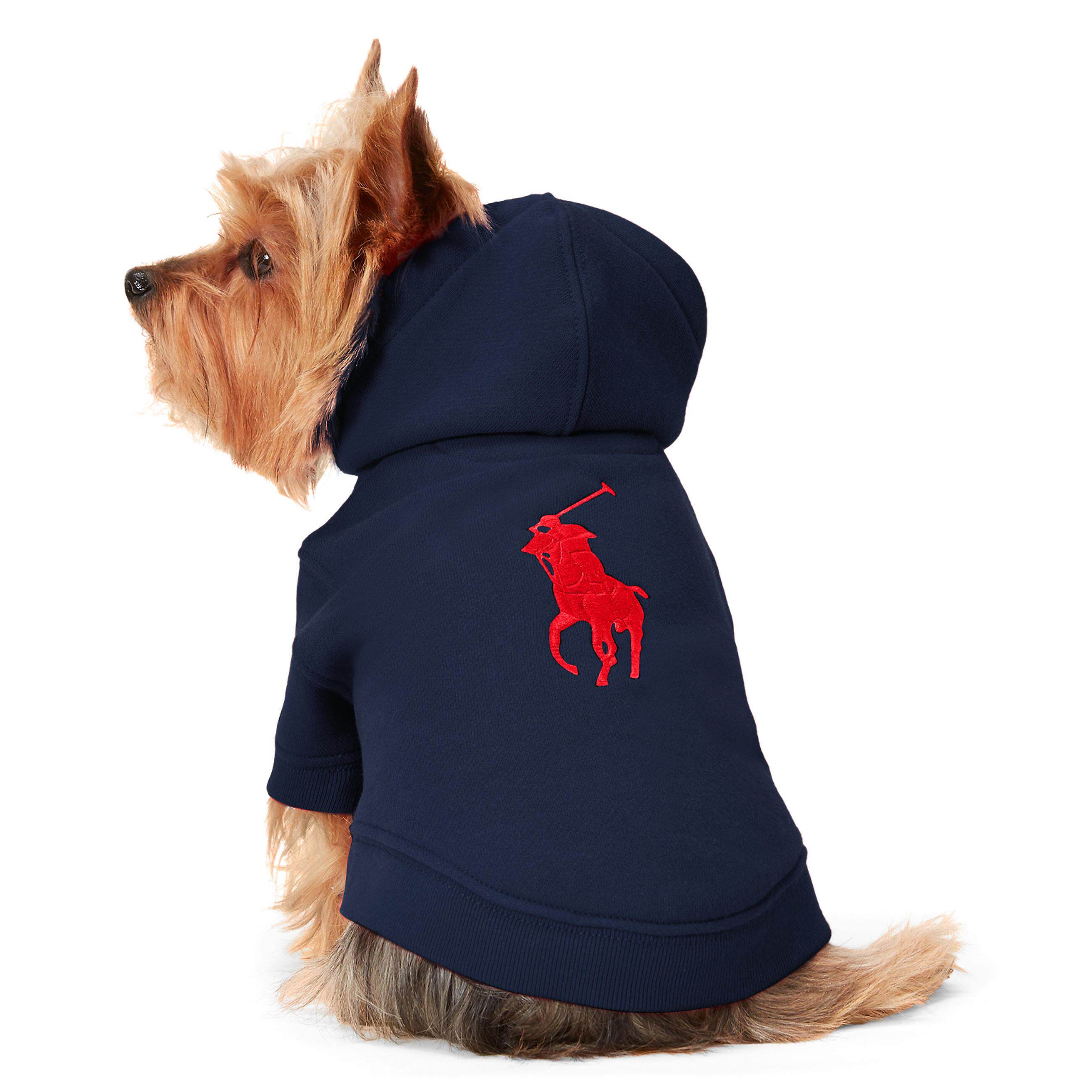 Ralph Lauren 拉夫劳伦宠物经典马球标帽衫卫衣
