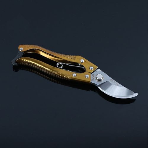 剪枝果树修枝剪刀园艺园林修花枝剪家用强力剪子神器花剪剪枝剪刀