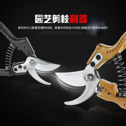 BROPPE浦派园林剪园艺修剪树枝剪粗枝果树剪修花剪刀修枝剪省力剪