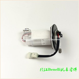 骁500 5B燃油泵组件汽油泵供油泵 502X 适用金鹏BJ500GS