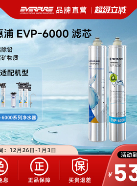 【品牌直营】爱惠浦净水器滤EVP-6000/EVP-6000Plus滤芯官方正品