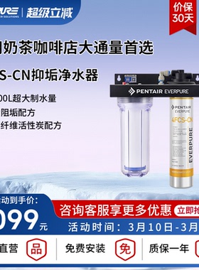 【品牌直营】爱惠浦商用4FCS-CN大流量净水器餐饮店阻垢抑菌滤芯
