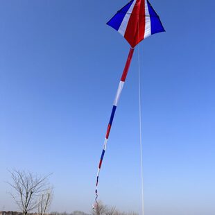 王侉子潍坊冲天追544伞布风筝大人专用高档大型微风易飞风筝儿童