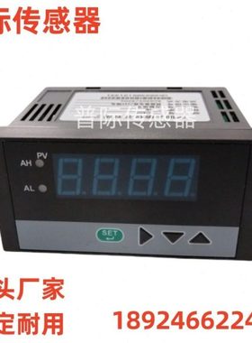 WP-EC403-23-00-P-T数显控制仪数显表 WP-EC403-23-00-P-W