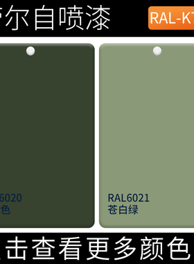 劳尔自喷漆RAL6020铭绿色RAL6021苍白绿文件柜S电柜设备修补手摇