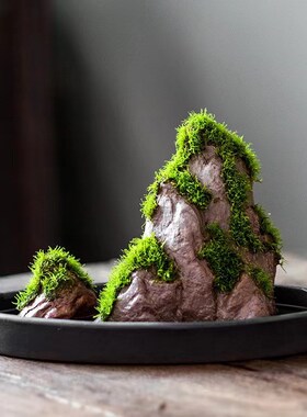 小鱼缸沉底摆件苔藓盆景t附石青苔摆件造景莫斯假山新款禅意水陆