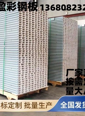 惠州彩钢板复合玻镁板隔墙吊顶净化车间隔墙吊顶T洁净室内白色中