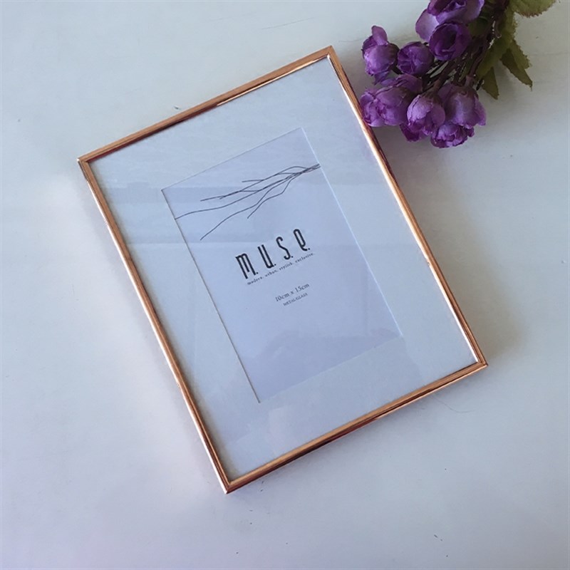 北欧简约金属相框5寸n6寸7寸8寸A4玻璃框架挂墙相册定制照片摆件