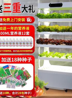 立体水培自动机直销家庭无土栽培种植机智能蔬菜设备种菜多层种菜