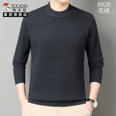啄木鸟2025新款男士半高领针织衫