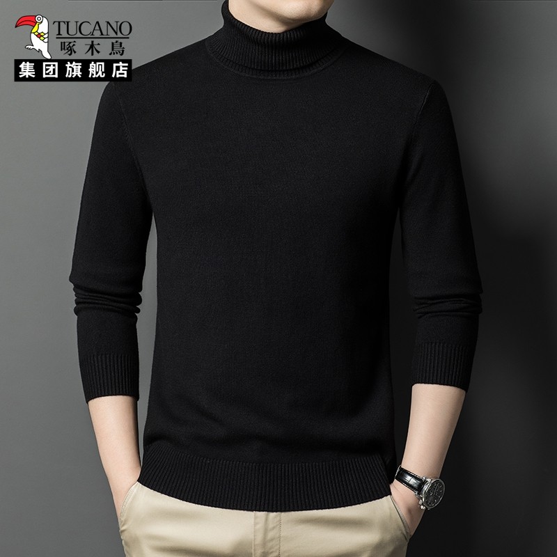 啄木鸟集团官方男士毛衣冬季高领百搭线衣保暖纯色内搭针织打底衫,男装,针织衫/毛衣,淘宝优惠券,粉丝福利购,淘宝优惠卷
