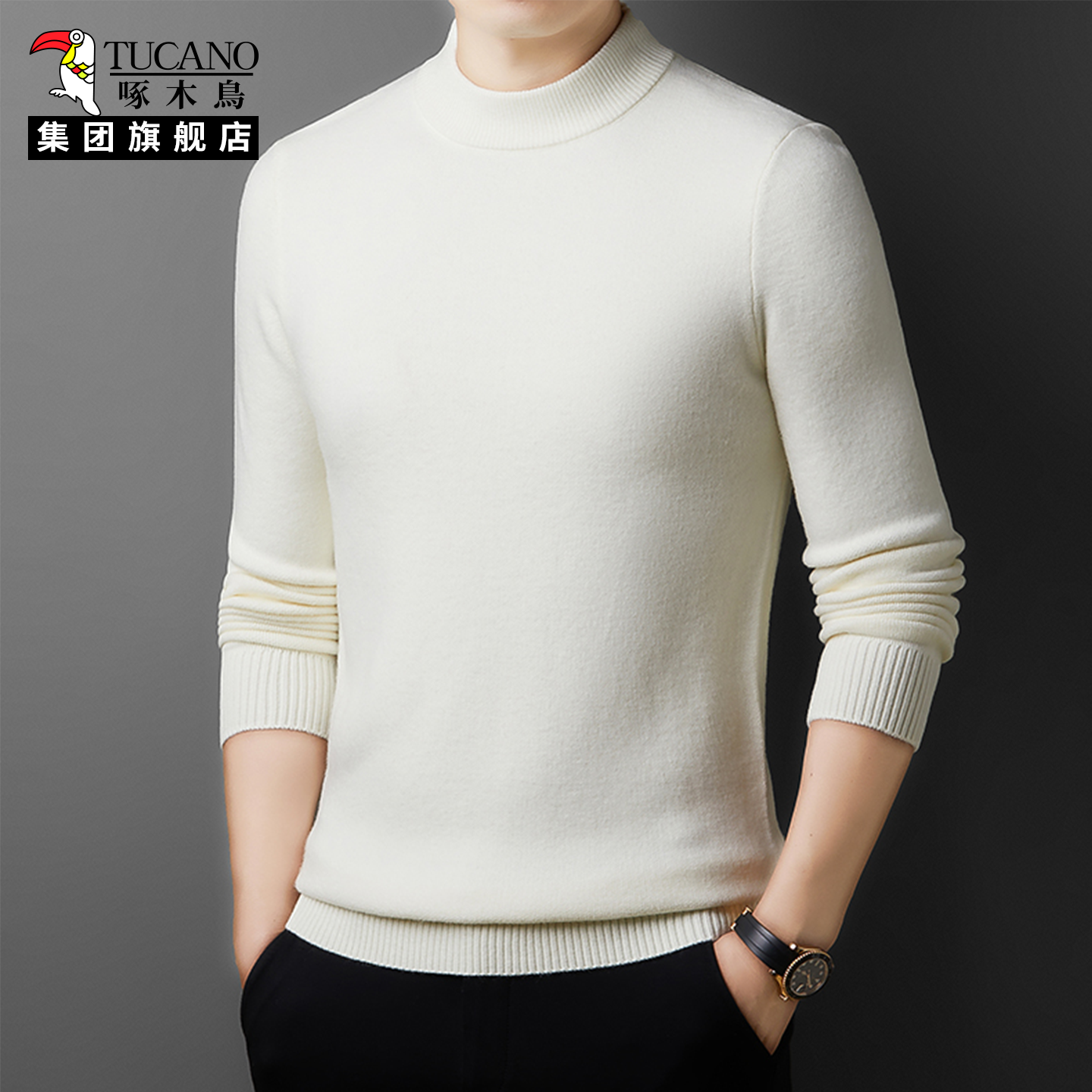 啄木鸟集团官方男士羊毛衫半高领